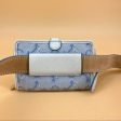 CELINE Vintage waist bag belt TWS pop Online Hot Sale