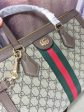 Gucci Bags 081 For Discount