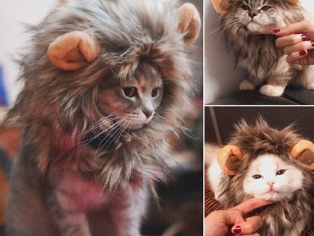 Funny Cute Pet Cat Costume Lion Mane Wig Cap Hat For Cat Dog Halloween Christmas Clothes Fancy Dress With Ears Pet Clothes Hot on Sale